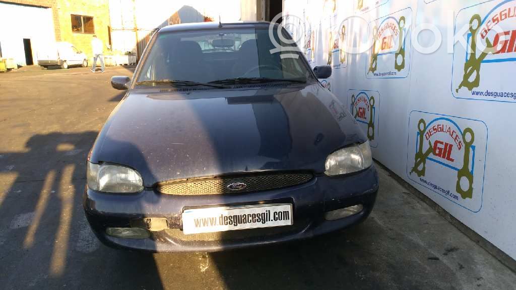 Escort Escort  95AB8C607