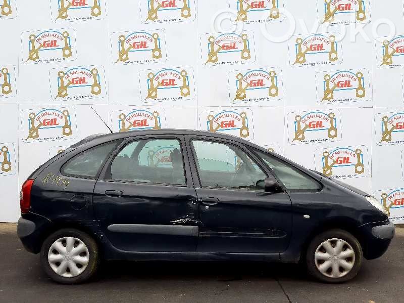 Xsara Xsara, Xsara Picasso