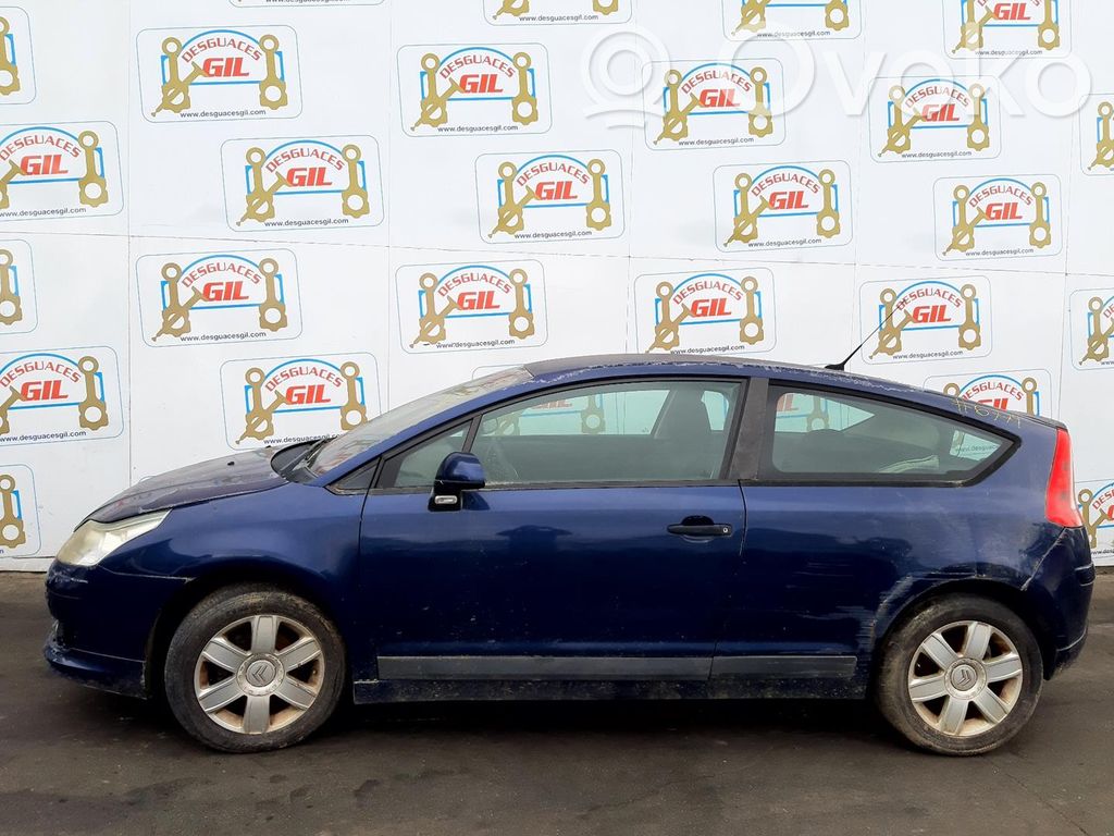 C4 I C4 Picasso, Grand Picasso, Aircross, Cactus