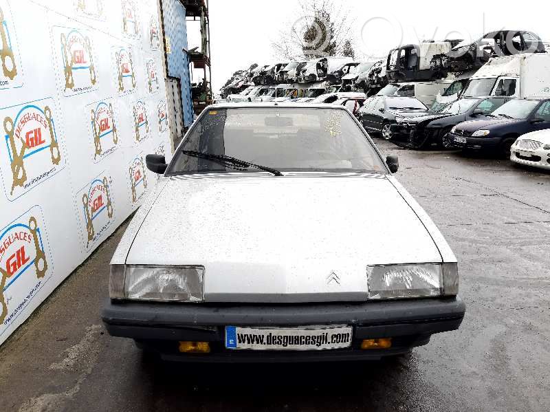 BX BX