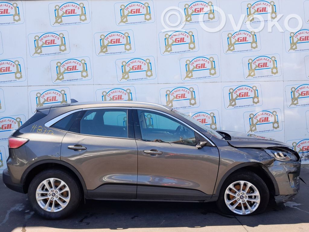 Kuga II Kuga  2830897