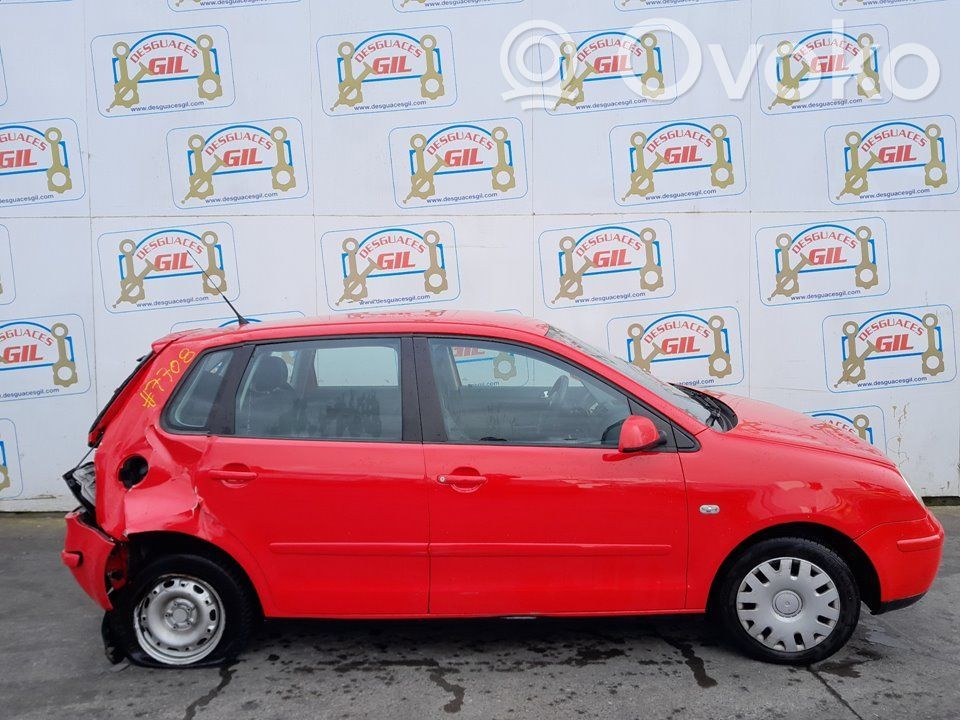 Polo Polo  036906034DD