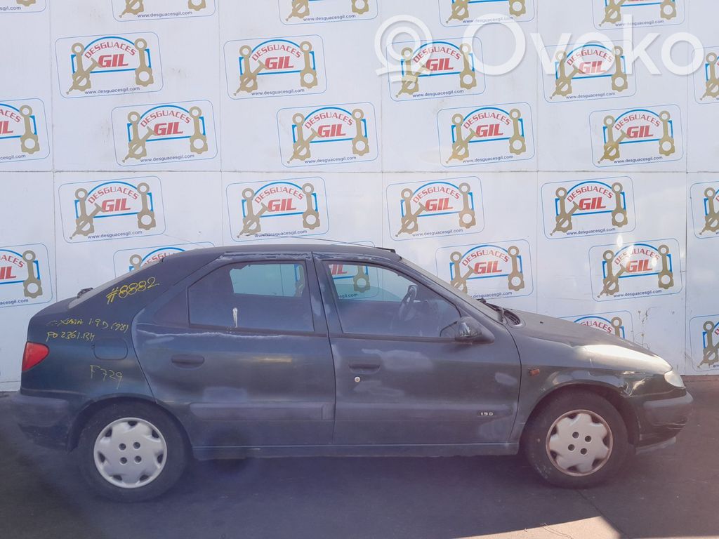 Xsara Xsara, Xsara Picasso