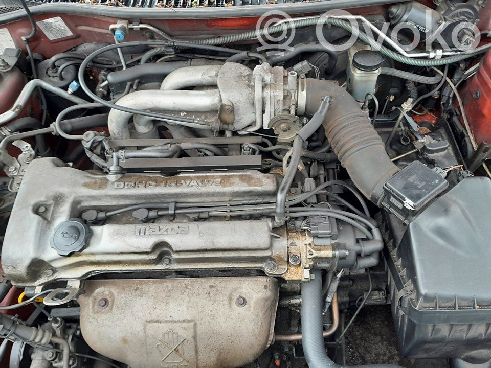 323 323, 323F  Z599