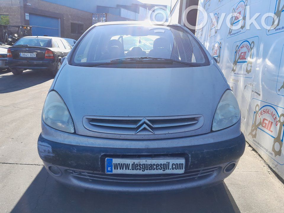 Xsara Xsara, Xsara Picasso