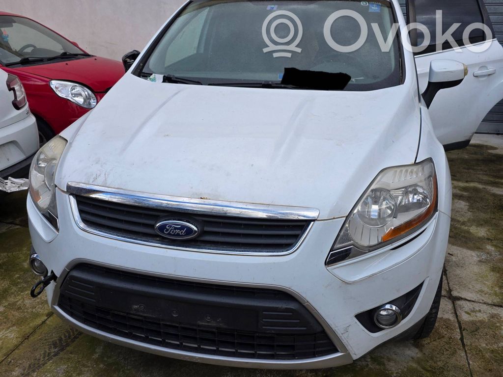 Kuga I Kuga  299751