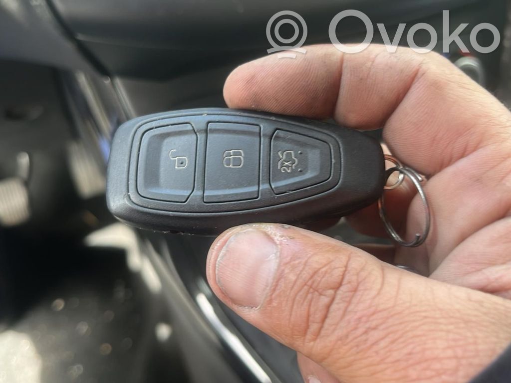 Focus Focus  1781479