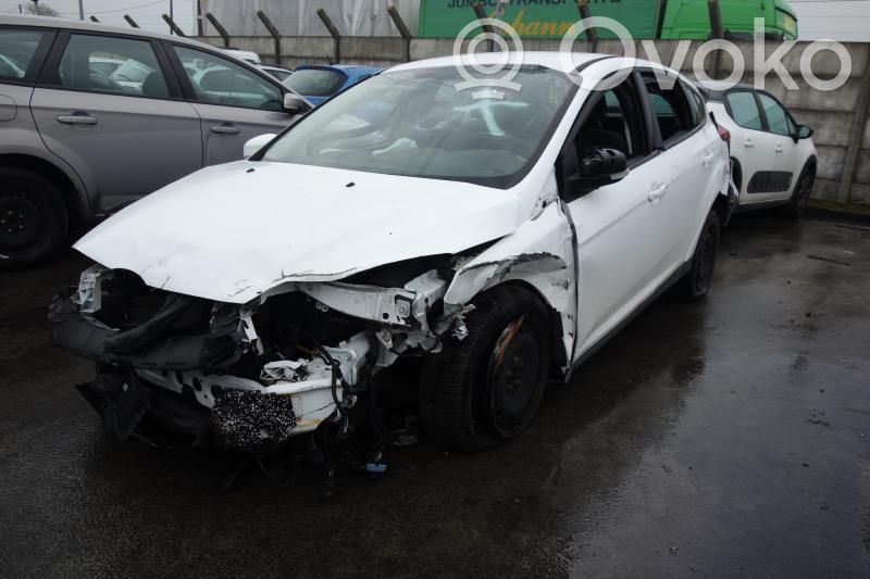 Focus Focus  2099461