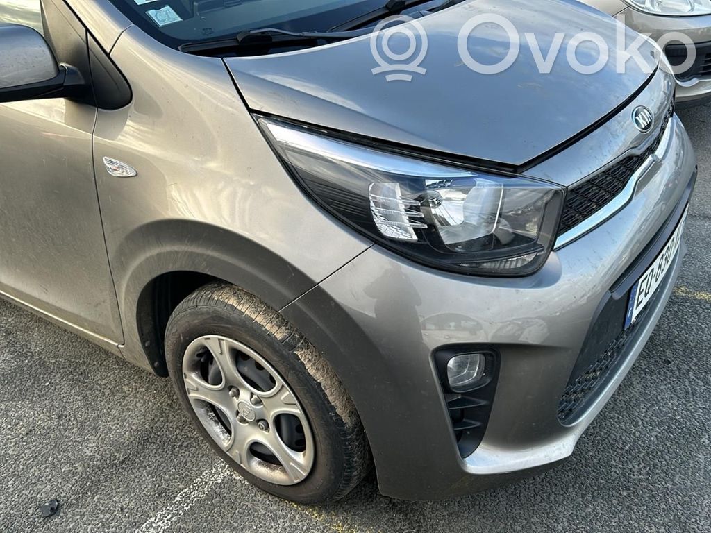 Picanto Picanto  3910704202