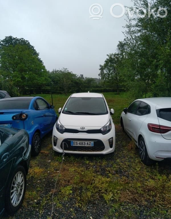 Picanto Picanto  3910704202