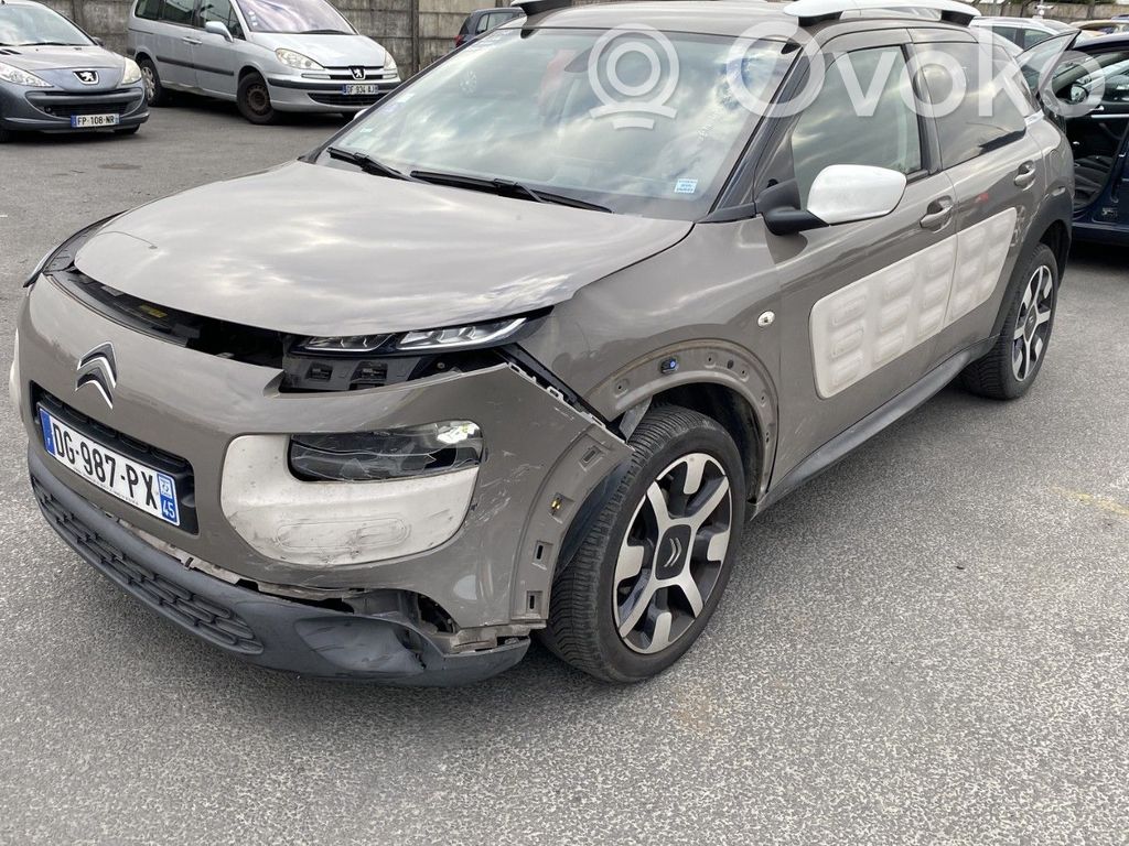 C4 Cactus C4 Picasso, Grand Picasso, Aircross, Cactus  9801219180