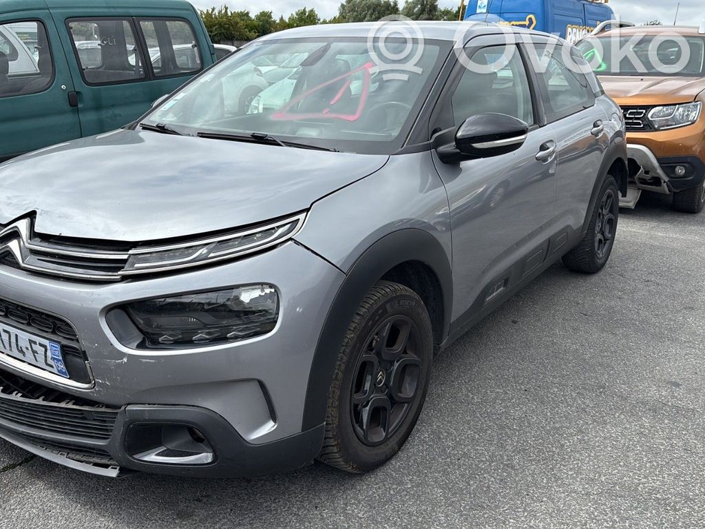 C4 Cactus C4 Picasso, Grand Picasso, Aircross, Cactus  1621679580