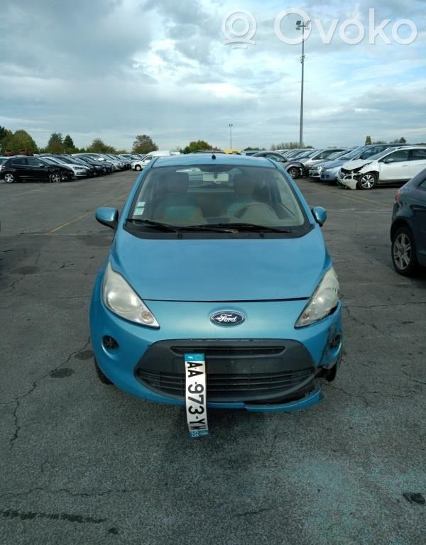 Ka Ka  1557286