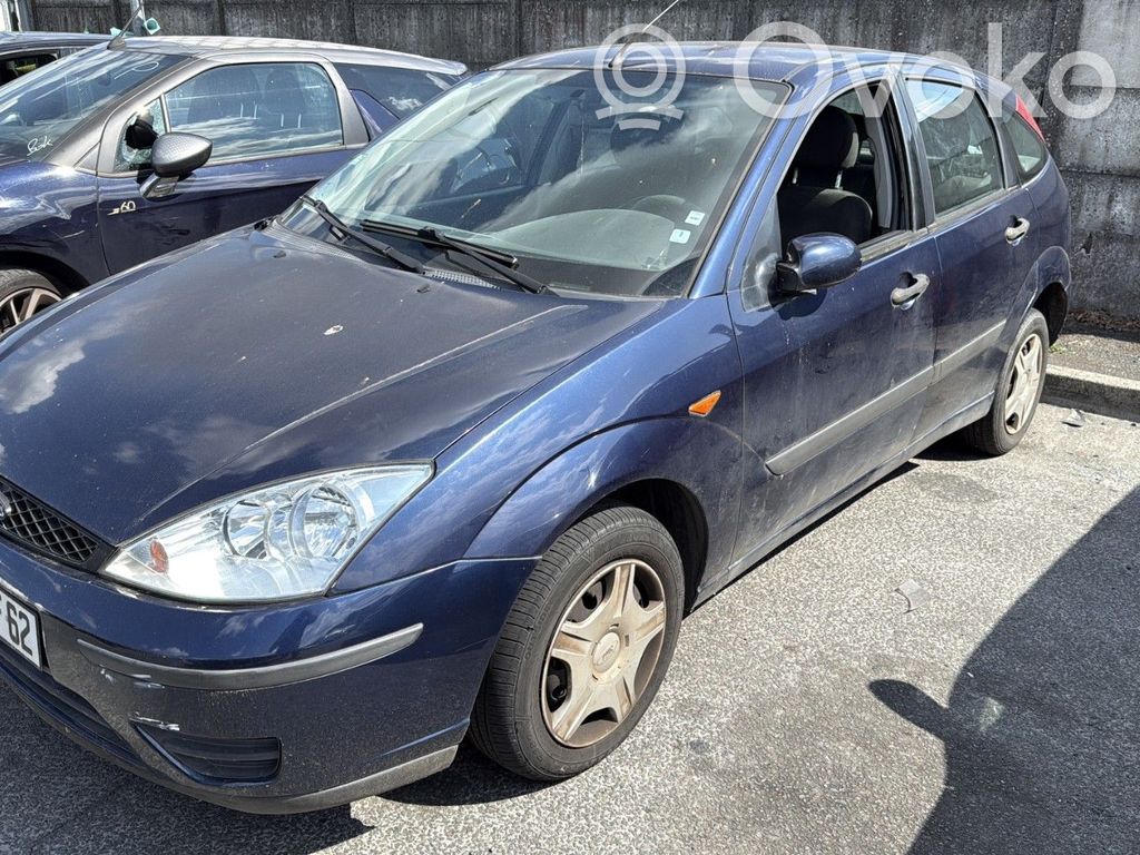 Focus Focus  1022461