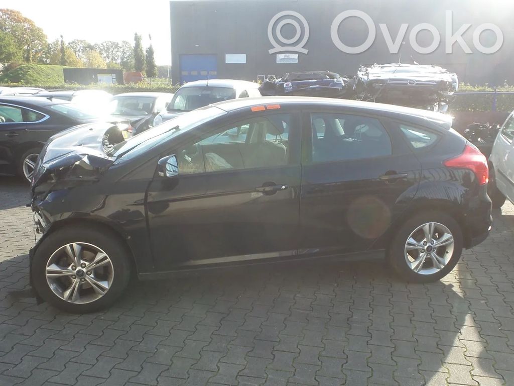 Focus Focus  AM5T18B955AF