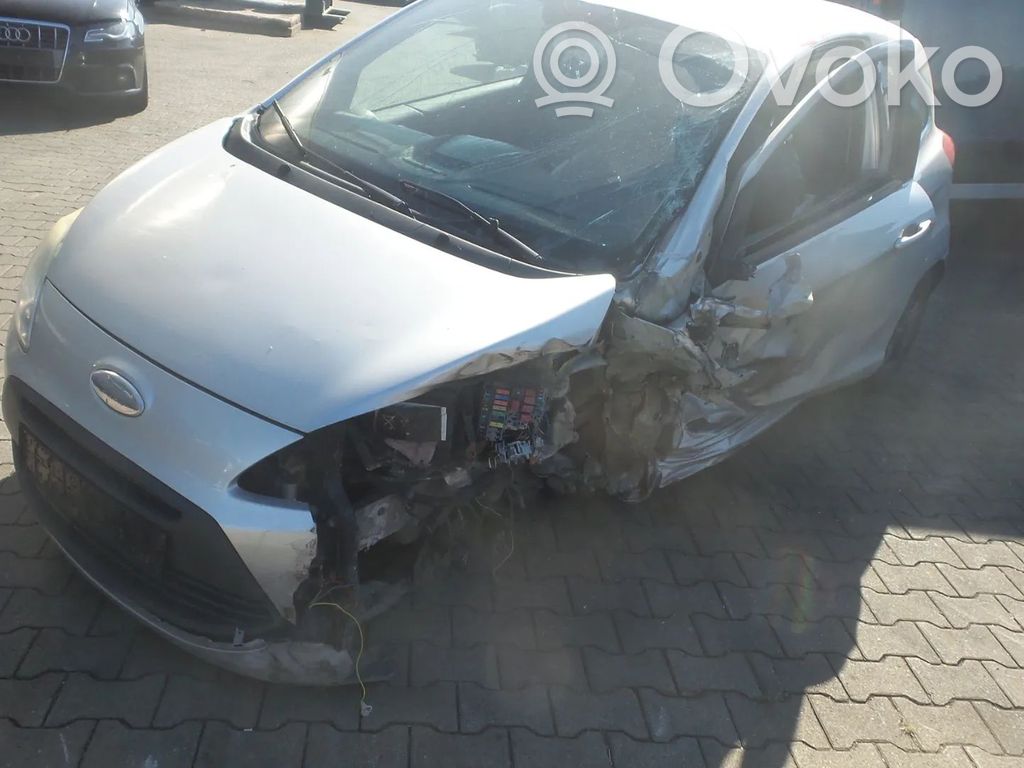 Ka Ka  1557286
