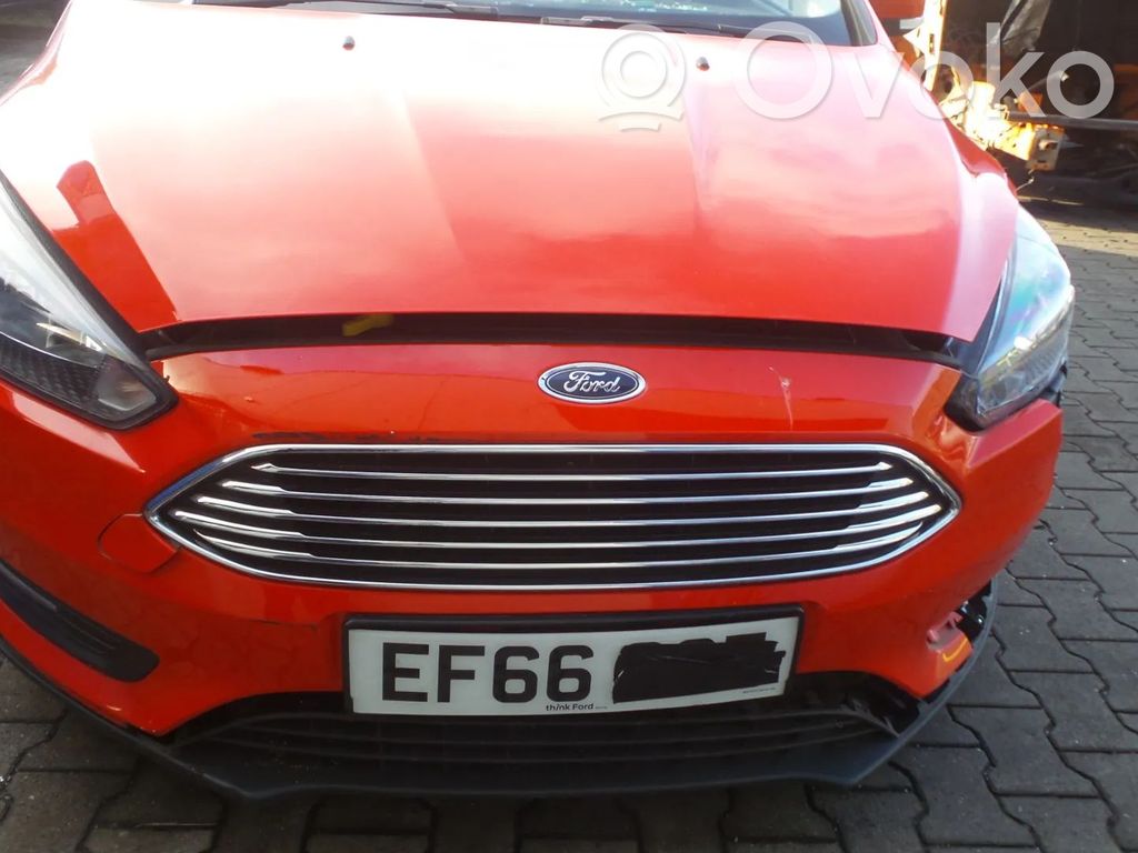 Focus Focus  BV6118045LAB
