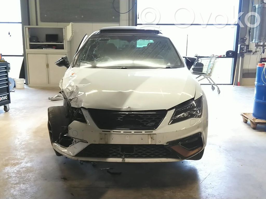 Leon (5F) Leon  81A035502