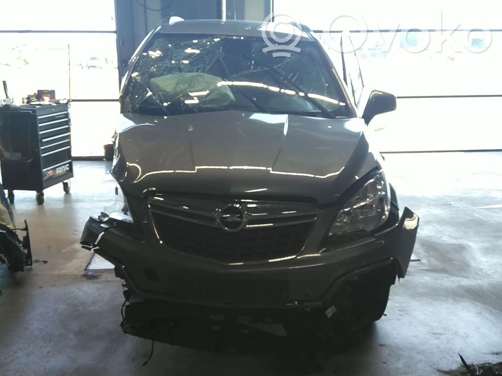 Mokka Mokka  13502593