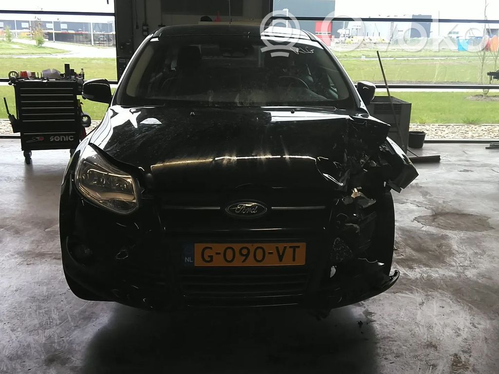 Focus Focus  1838957