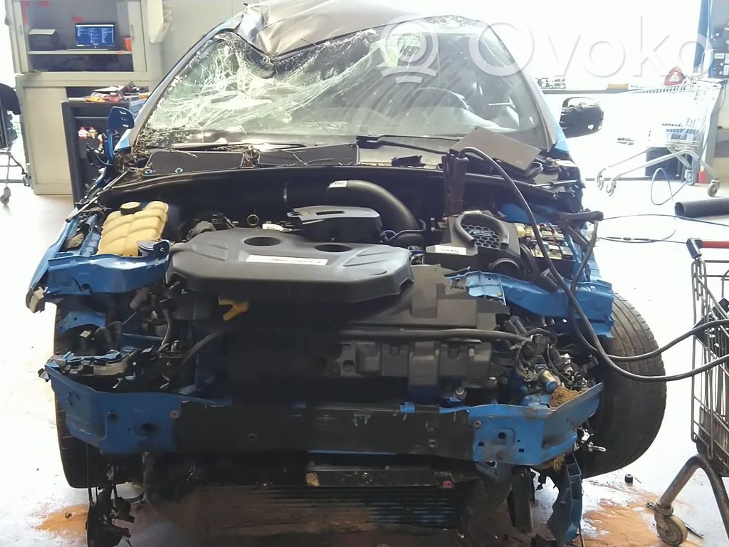 Focus Focus  1835279