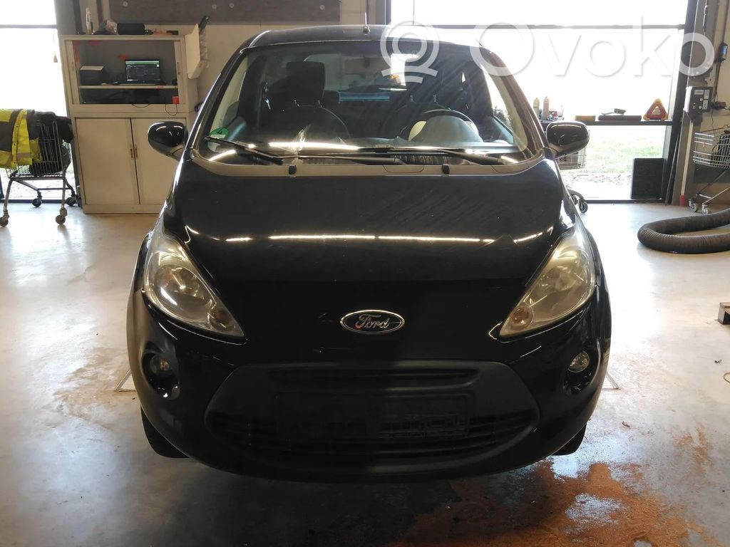 Ka Ka  2319323