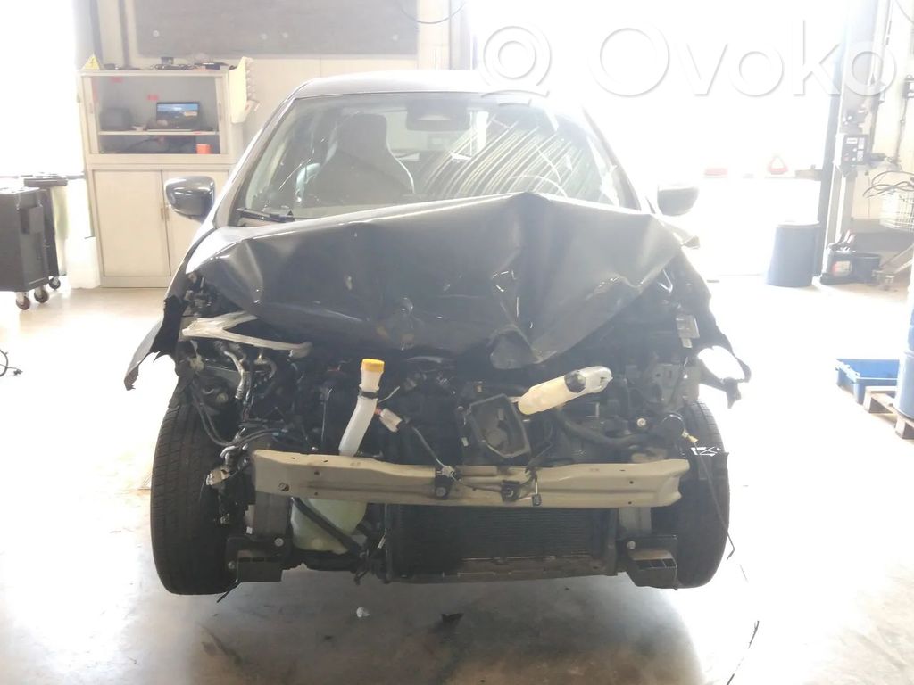 Zoe Zoe  290107407R