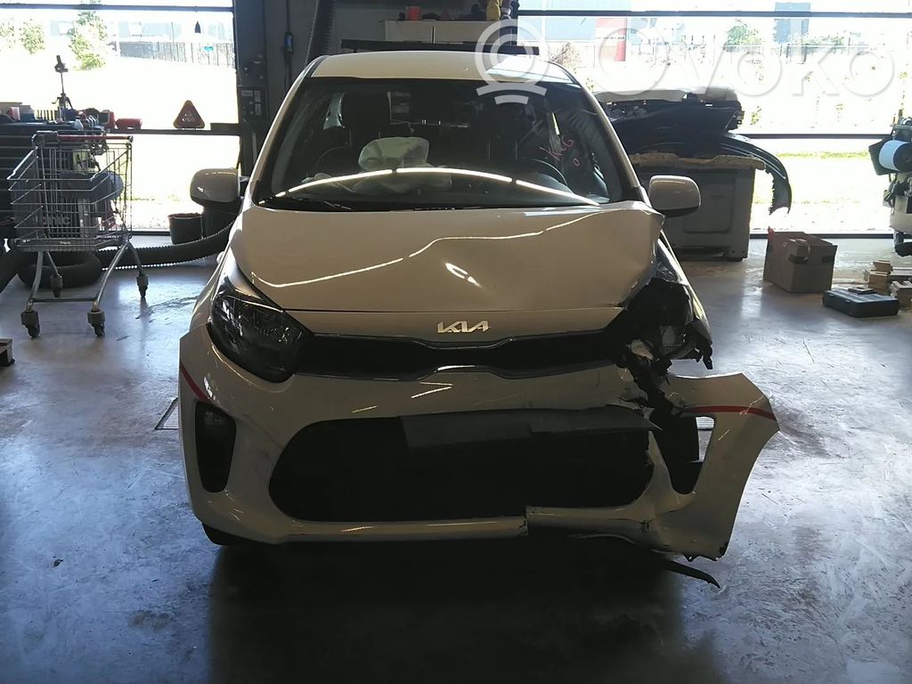 Picanto Picanto  3921007070