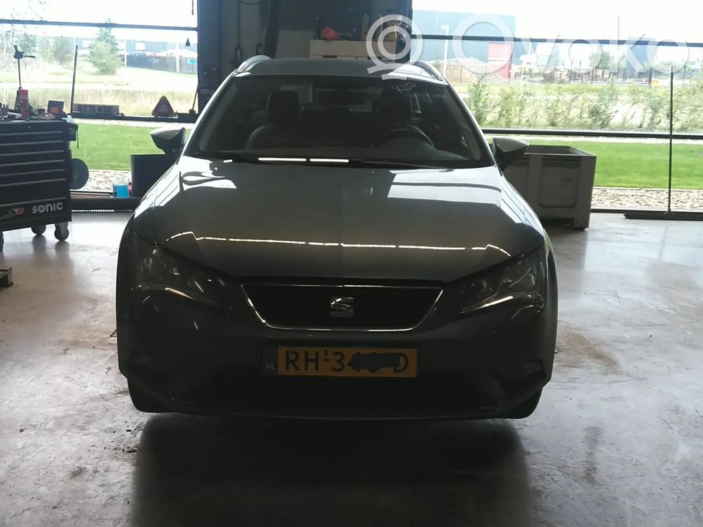 Leon (5F) Leon  5F9807421H