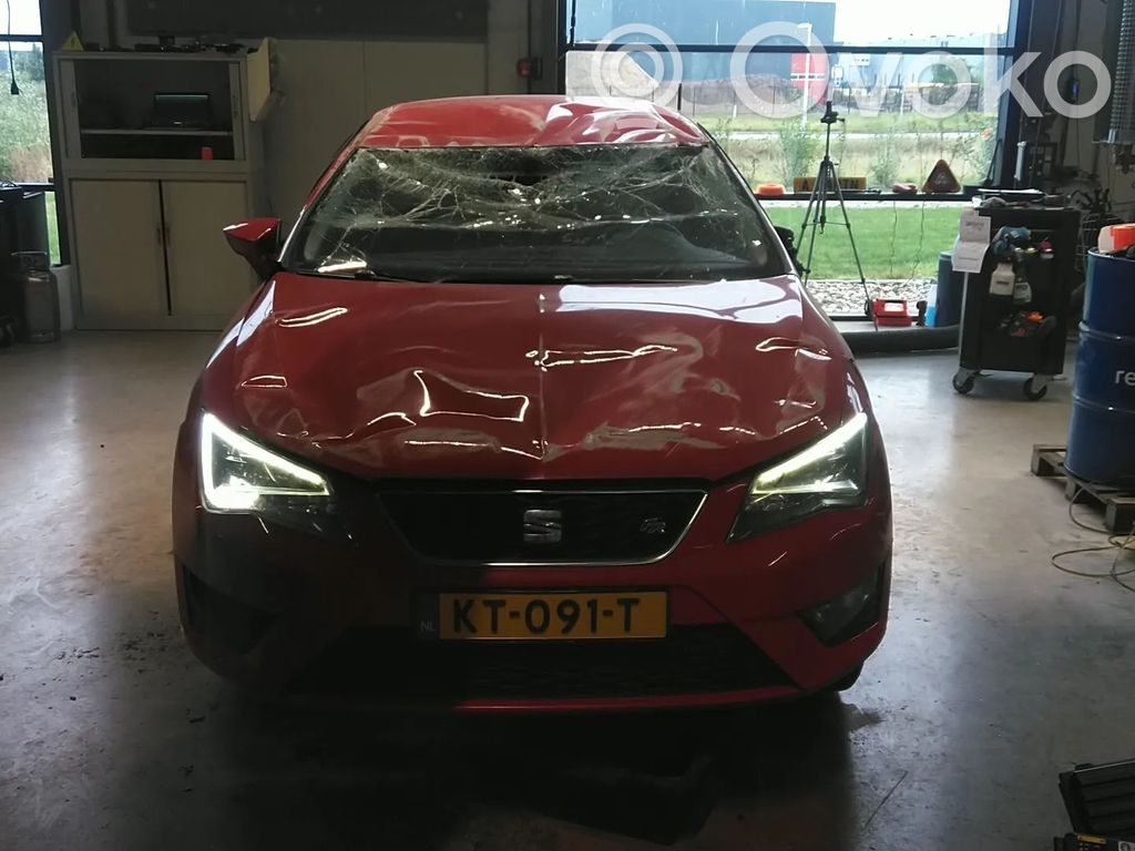 Leon (5F) Leon