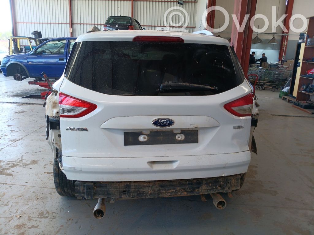 Kuga II Kuga  BAMPT11675