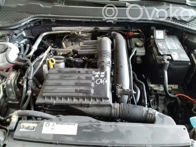 Leon (5F) Leon  RSW