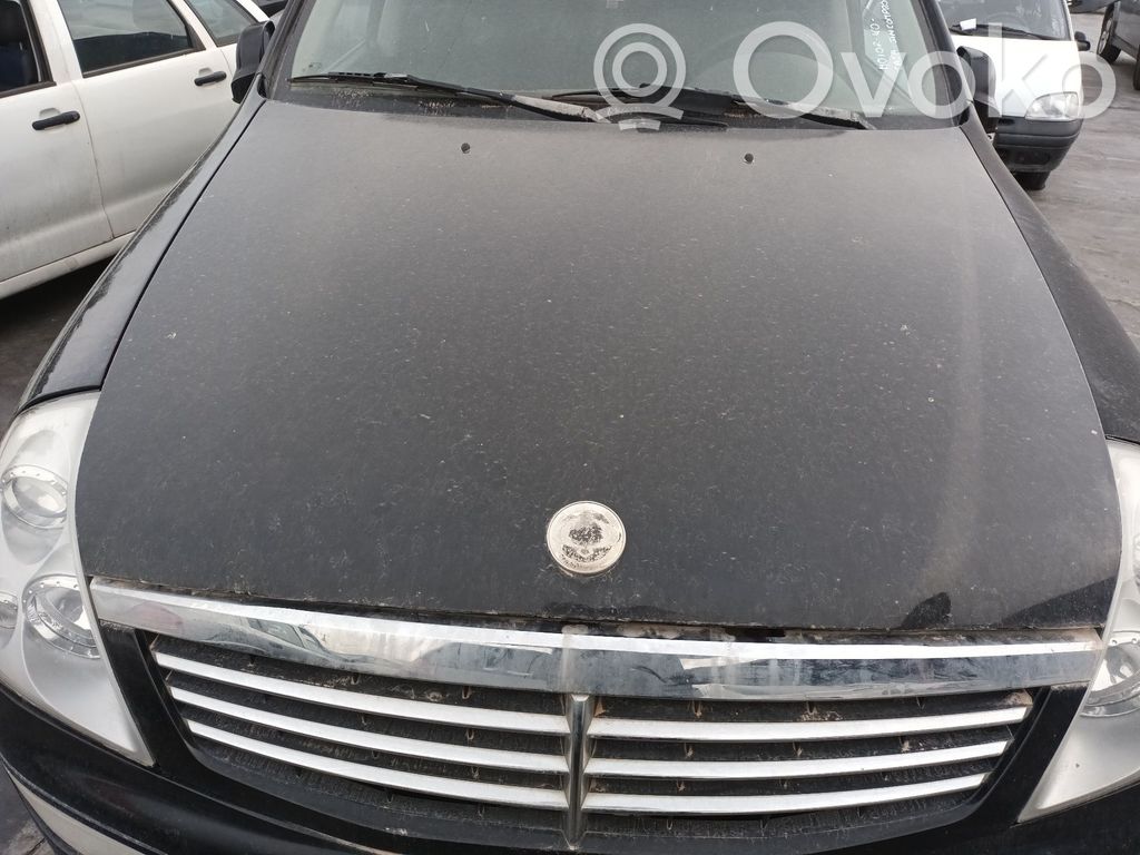 Rexton Rexton  4891008100