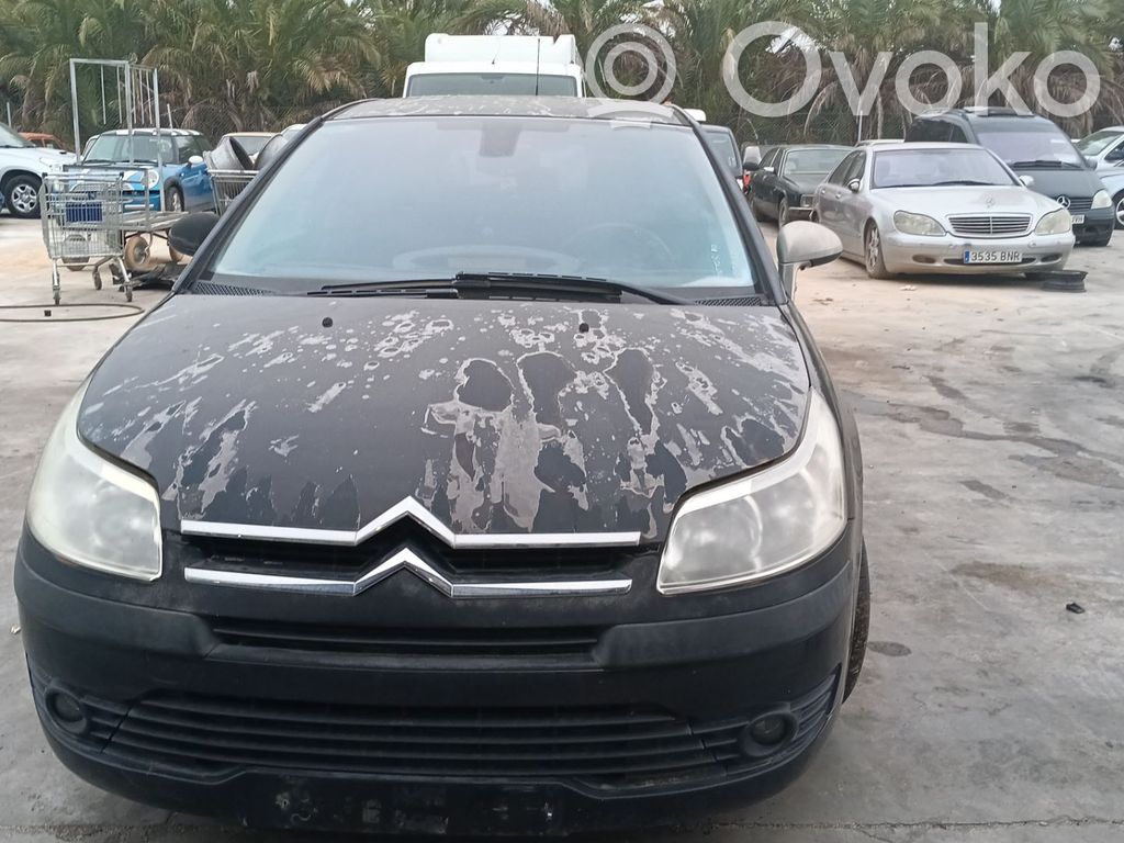 C4 I C4 Picasso, Grand Picasso, Aircross, Cactus  9685590380