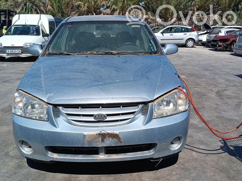 Cerato Cerato  338002A110