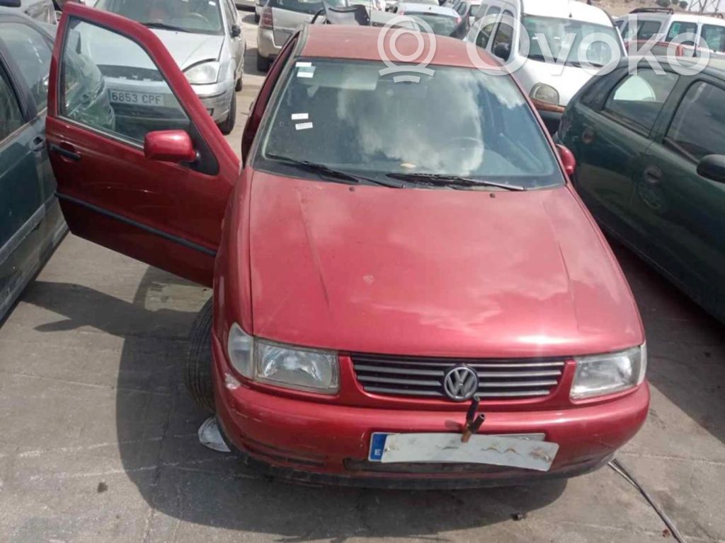 Polo Polo  2541815C