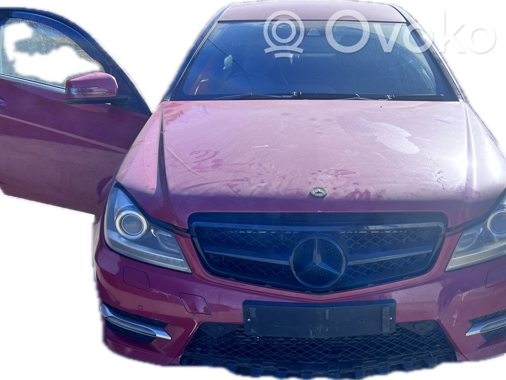 C W204 C-class, AMG (W202, W203, W204, W205, W206)  10021603
