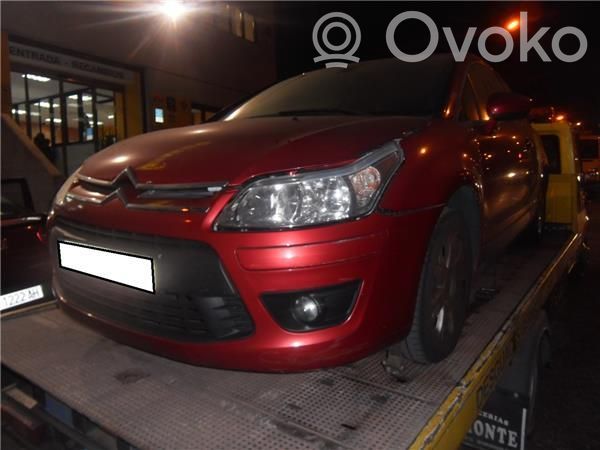 C4 I C4 Picasso, Grand Picasso, Aircross, Cactus  204254242