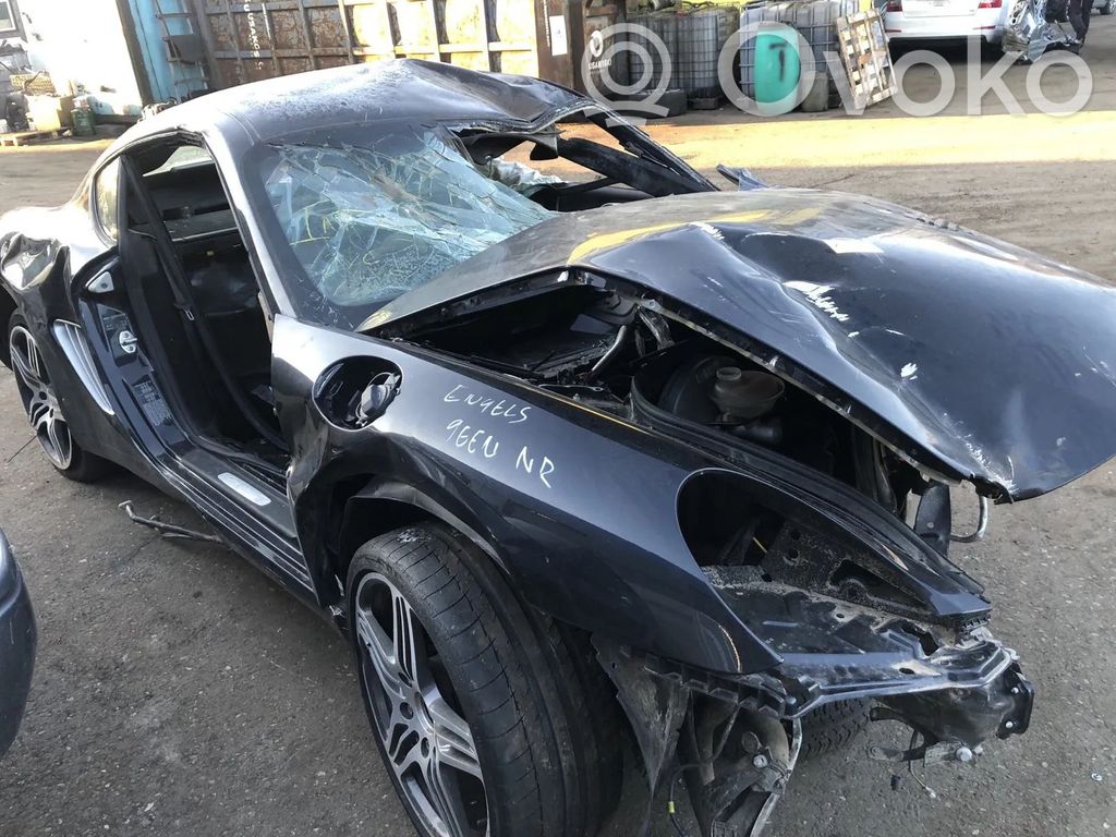 Cayman 987 Cayman  98755521601