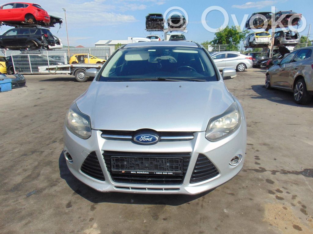 Focus Focus  1719219