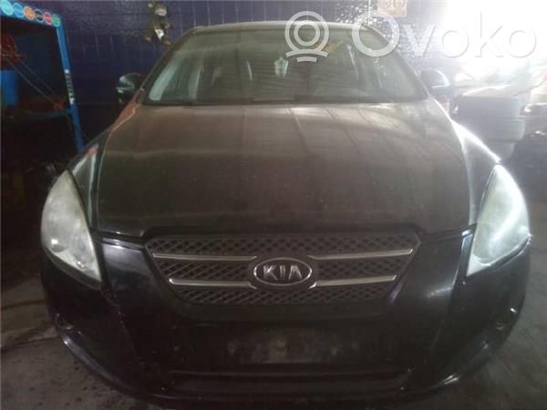 Ceed Ceed, Ceed SW, Pro Ceed  D4FB