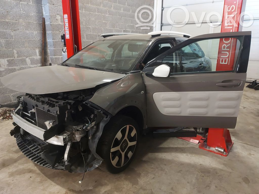 C4 Cactus C4 Picasso, Grand Picasso, Aircross, Cactus  9809300680