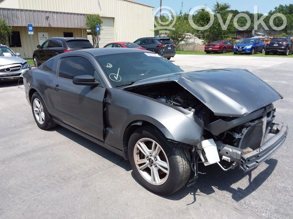 Mustang V Mustang  002N4A