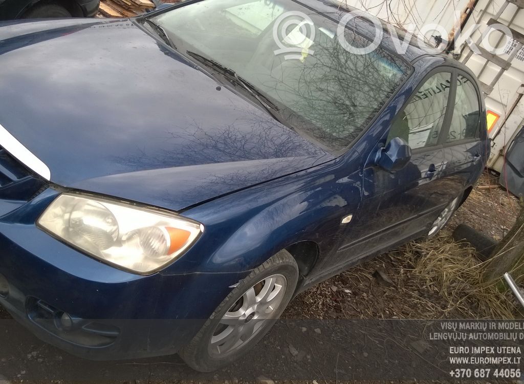 Cerato Cerato