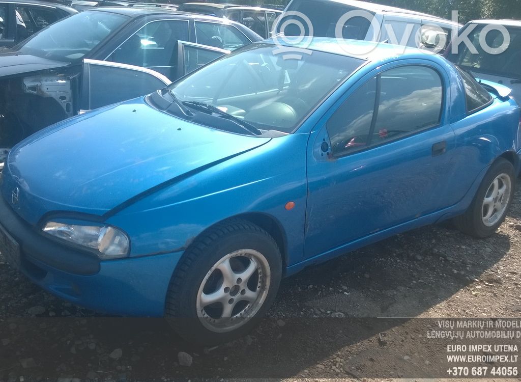 Tigra A Tigra  90448177BM