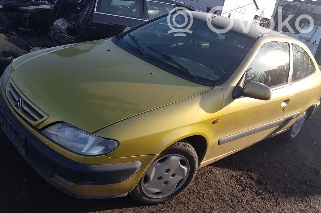 Xsara Xsara, Xsara Picasso