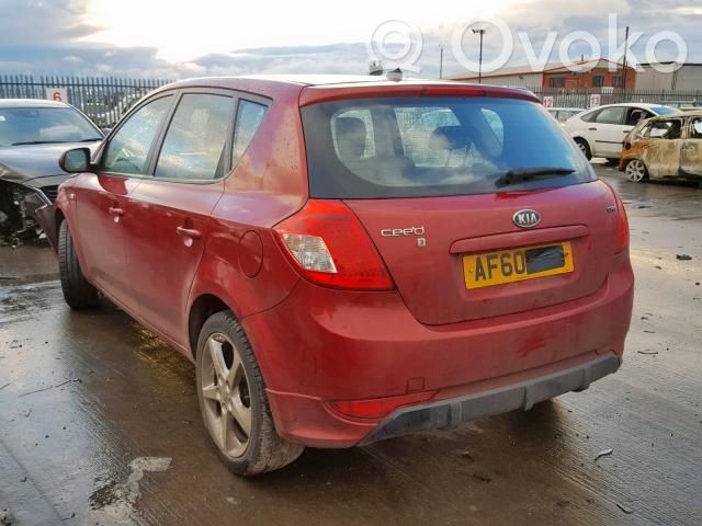 Ceed Ceed, Ceed SW, Pro Ceed  20100219