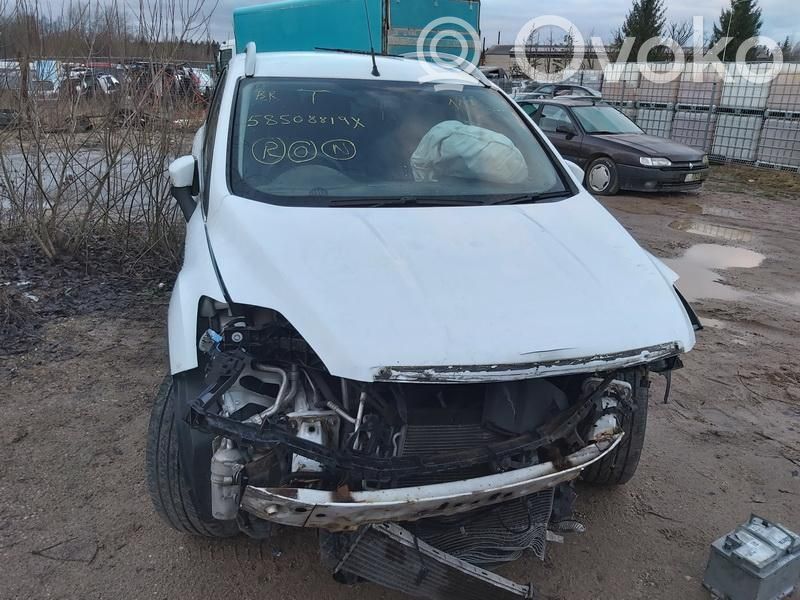 Kuga I Kuga  30725164