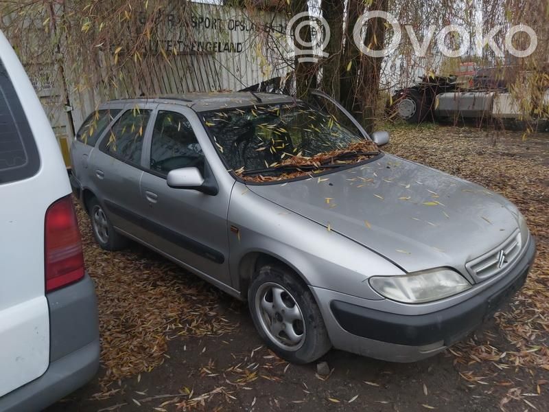 Xsara Xsara, Xsara Picasso