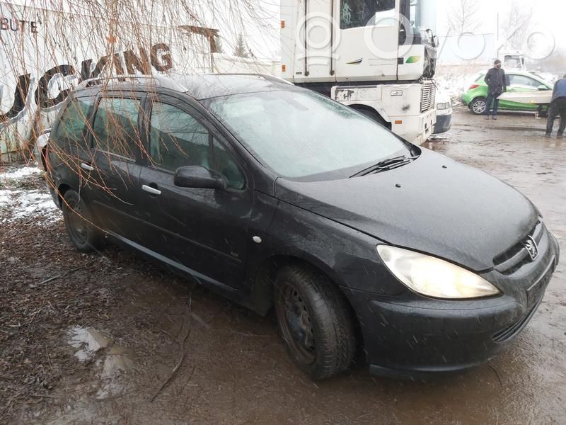 307 307  5WS40029N